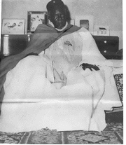 cheikhal khalifa