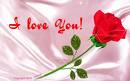 l amour